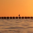 Sea embankment  screen for extension Chrome web store in OffiDocs Chromium