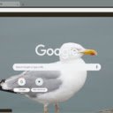 Seagull  screen for extension Chrome web store in OffiDocs Chromium