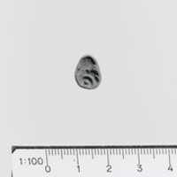 Free download Seal, loop-handled signet free photo or picture to be edited with GIMP online image editor