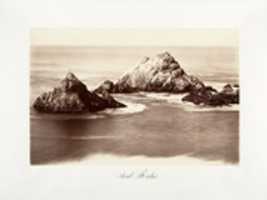 Ücretsiz indir Seal Rocks ücretsiz fotoğraf veya resim GIMP çevrimiçi resim düzenleyici ile düzenlenebilir