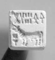 Tải xuống miễn phí Seal with a Ox ảnh hoặc hình ảnh miễn phí để được chỉnh sửa bằng trình chỉnh sửa hình ảnh trực tuyến GIMP