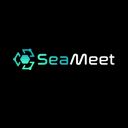 SeaMeet: Take ChatGPT Meeting Note Real Time  screen for extension Chrome web store in OffiDocs Chromium