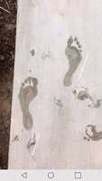 Free download Sean Lowes Gigantic Feet free photo or picture to be edited with GIMP online image editor