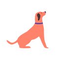 SearchKibble feed dogs with every search  screen for extension Chrome web store in OffiDocs Chromium