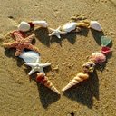Seashells on the sand wallpaper  screen for extension Chrome web store in OffiDocs Chromium