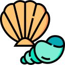 Seashell Still Life  screen for extension Chrome web store in OffiDocs Chromium
