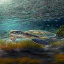 Sea turtle wallpaper  screen for extension Chrome web store in OffiDocs Chromium