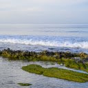 Sea waves and moss  screen for extension Chrome web store in OffiDocs Chromium