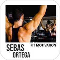 Free download Sebas Ortega Fit Motivation free photo or picture to be edited with GIMP online image editor