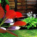 Secret garden  screen for extension Chrome web store in OffiDocs Chromium