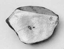 Free download Section of a Pebble free photo or picture to be edited with GIMP online image editor