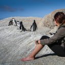 See the penguins  screen for extension Chrome web store in OffiDocs Chromium