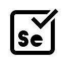 Schermata Selenium Capture + Excel Generator per estensione Chrome web store in OffiDocs Chromium