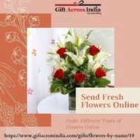 Free picture Send Fresh Flowers Online to be edited by GIMP online free image editor by OffiDocs