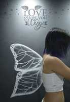 Free download Sentir y volar free photo or picture to be edited with GIMP online image editor