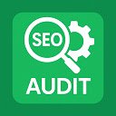 SEO AUDIT  screen for extension Chrome web store in OffiDocs Chromium