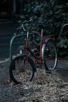 Free download sepeda6 free photo or picture to be edited with GIMP online image editor