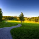Serene Path Through Green  screen for extension Chrome web store in OffiDocs Chromium