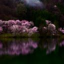 Serene Reflection  screen for extension Chrome web store in OffiDocs Chromium