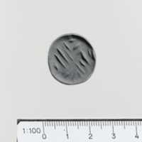 Free download Serpentine conoid seal free photo or picture to be edited with GIMP online image editor