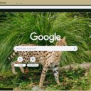 Serval  screen for extension Chrome web store in OffiDocs Chromium