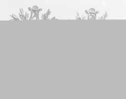 জিআইএমপি অনলাইন ইমেজ এডিটর দিয়ে এডিট করার জন্য চারটি কীহোল এস্কুচন ফ্রি ফটো বা ছবির সেট বিনামূল্যে ডাউনলোড করুন