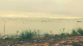 Free download Setting Dawn The Boat -  free video to be edited with OpenShot online video editor