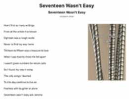 Free download Seventeen Wasnt Easy free photo or picture to be edited with GIMP online image editor