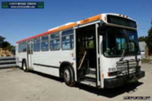 Free download SF MUNI 8101: 1999 Neoplan USA AN440A Transliner free photo or picture to be edited with GIMP online image editor