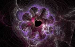 Free download Shapes Fractals  and more free photo or picture to be edited with GIMP online image editor