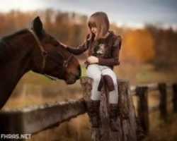 Free download Share Tmp Image free photo or picture to be edited with GIMP online image editor