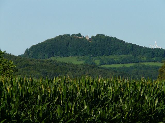 Free download sharfenberg castle hilltop free picture to be edited with GIMP free online image editor