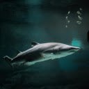 Shark  screen for extension Chrome web store in OffiDocs Chromium