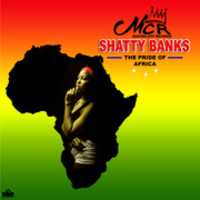 Free download SHATTY BANKS IS THE PRIDE OF AFRICA free photo or picture to be edited with GIMP online image editor