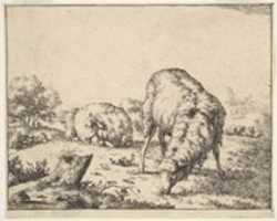Free download Sheep, from a set of 16 plates free photo or picture to be edited with GIMP online image editor