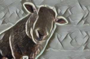 Téléchargement gratuit d'une photo ou d'une image gratuite de mouton à éditer avec l'éditeur d'images en ligne GIMP