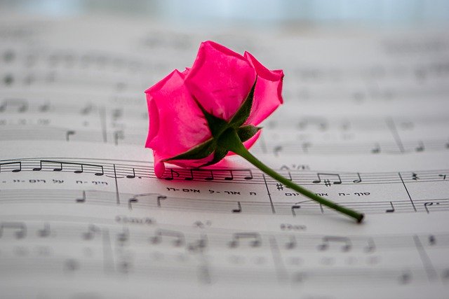Kostenloser Download von Noten, Musik, Rose, Blume, kostenloses Bild, das mit dem kostenlosen Online-Bildeditor GIMP bearbeitet werden kann