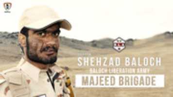 Free download Shehzad Baloch free photo or picture to be edited with GIMP online image editor