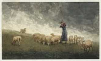 Téléchargez gratuitement la photo ou l'image gratuite de Shepherdess Tending Sheep à éditer avec l'éditeur d'images en ligne GIMP