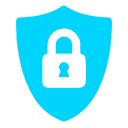 Shield Data  screen for extension Chrome web store in OffiDocs Chromium