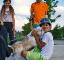 Free download Shih Tzu Love free photo or picture to be edited with GIMP online image editor