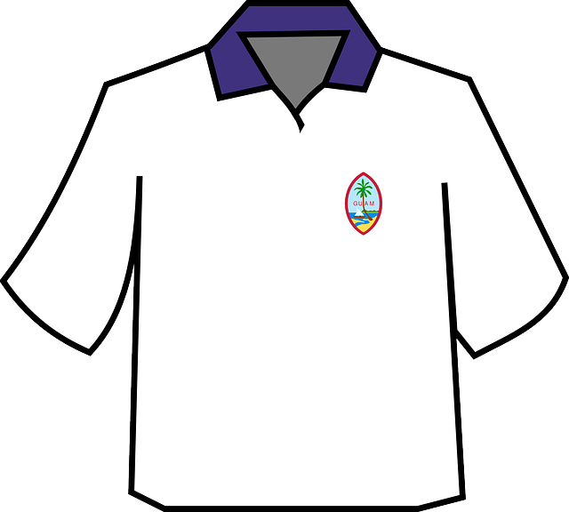 Download grátis Camisa Polo Pulôver - Gráfico vetorial gratuito na ilustração gratuita do Pixabay para ser editado com o editor de imagens on-line gratuito do GIMP