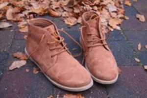 Free download shoee free photo or picture to be edited with GIMP online image editor