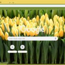 Shooting Star  screen for extension Chrome web store in OffiDocs Chromium