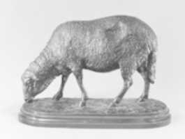 Free download Shorn Ewe (Brebis Tondue) free photo or picture to be edited with GIMP online image editor