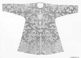 Free download Short Four-Clawed Dragon Robe free photo or picture to be edited with GIMP online image editor