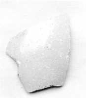 Free download Shoulder Fragment of a White Vase free photo or picture to be edited with GIMP online image editor