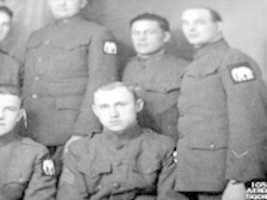 Free download Shoulder Sleeve Insignia of the Great War, 1914-1918 free photo or picture to be edited with GIMP online image editor
