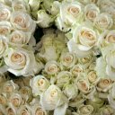 showcases a stunning bouquet of blue and white roses  screen for extension Chrome web store in OffiDocs Chromium