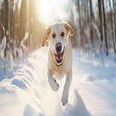 Showfall With Dogs  screen for extension Chrome web store in OffiDocs Chromium